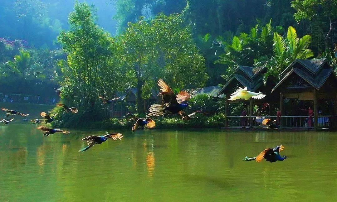 金庸群侠传5